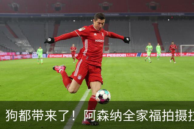 狗都带来了！阿森纳全家福拍摄拉布拉多到场 却没通知萨利巴